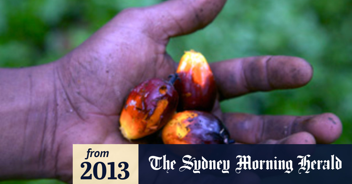 Palm oil plantations bad for climate Nature